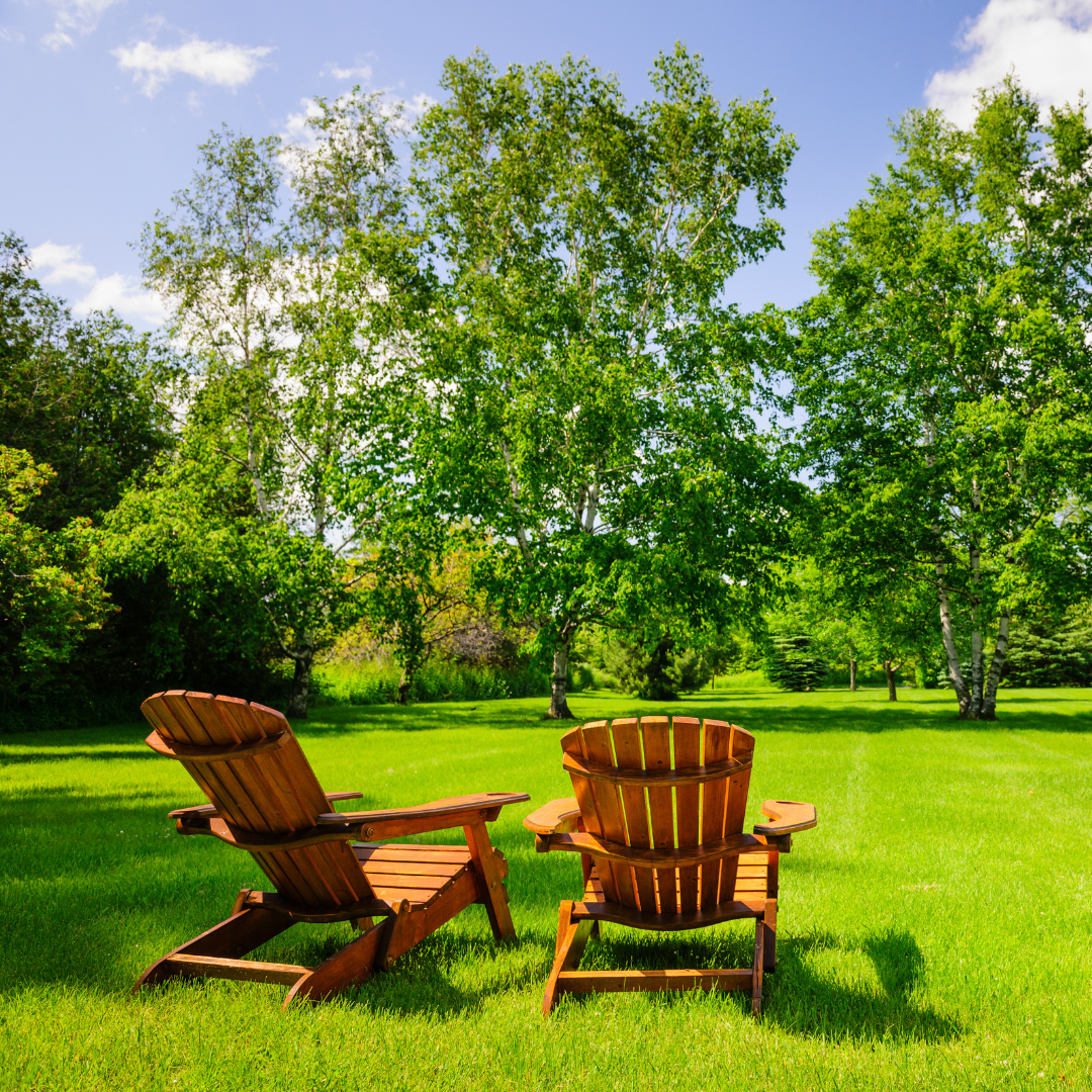 Rising seniors: Get Ahead This Summer!